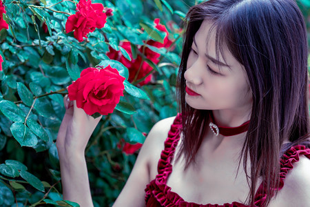 情牵两岸 浙台婚姻家庭文化架起连心桥